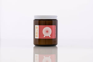 Brand of Bliss Candle // Oklahoma Ferris Wheel 8oz